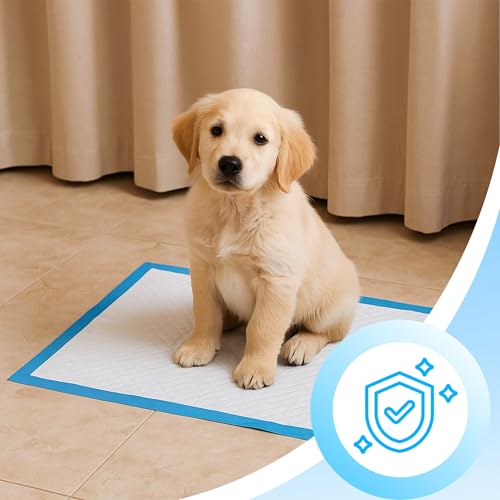 Retoo Trainingspads für Hunde & Welpen 40x60 cm, 100 Stück PIPI Matten Einweg – 6-lagig, Auslaufsicher & Saugfähig, Schnell Trocknende Oberfläche – Ideal für Inkontinenz & Stubenreinheit
