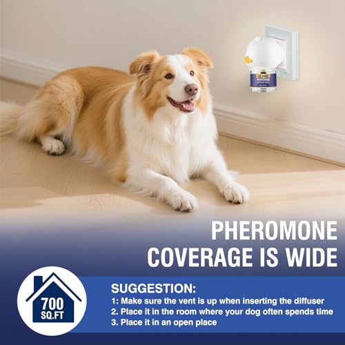 Piuess Pheromone Hund 4 In 1 Kit Dog Diffuser Calming Beruhigender (2 Beruhigung Steckdose +2 Nachfüllflakon) Beruhigungsmittel Zur Reduktion Von äNgstlichem Verhalten Gewitter Feuerwerk Geschmacklos