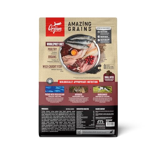 Image of ORIJEN Amazing Grains WHOLEPREY Dry Dog Food Small Breed Recipe 4lb Bag | WHOLEPREY Ingredients, Made in the USA, Includes Probiotics, Omega-3 Fatty Acids, Skin & Coat, Digestive Health