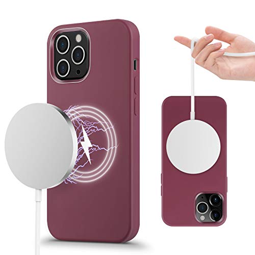 10 Best Iphone 12 Pro Max Case For Wireless Charging Apr 2023