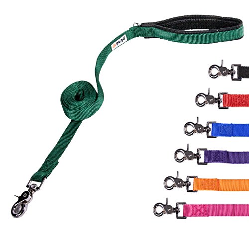 GOGO Pet Products 1-Inch Wide Comfy Nylon Dog Leash, 6-Feet Long, Hunter Green