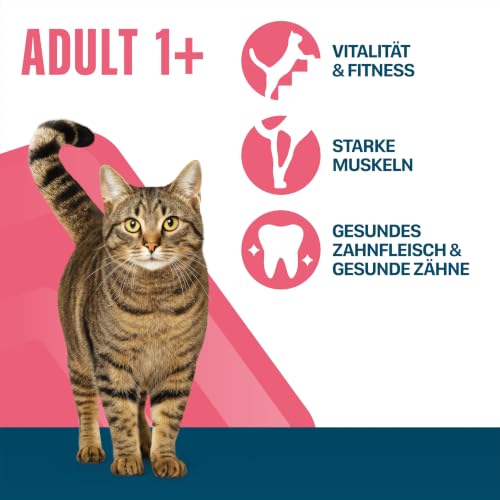 PERFECT FIT Adult Trockenfutter für erwachsene, aktive Katzen ab 1 Jahr - Rind, 750g (6 Beutel)