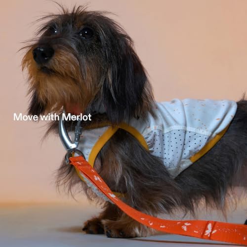 Merlot, Coore Top Dog Cooling Vest, Ultralight 20g Minimal Quick-Dry Sleeveless Top with Citronella Bug Defense and UPF 40+ Sun Protection for Small Medium Large Dogs (Forest, S) — view 7