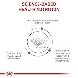 Royal Canin Veterinary Renal Select | 4 kg | Diät-Alleinfuttermittel für Katzen | Kann zur Unterstützung der Nierenfunktion bei chronischer Niereninsuffizienz beitragen