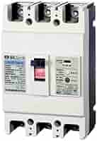 Amazon.co.jp: 河村電器産業 漏電ブレーカ ZR 223-175-30: DIY
