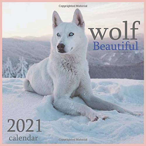 Télécharger 2021: Beautiful wolf :2021 Wall & Office Calendar, 12 Month Calendar PDF