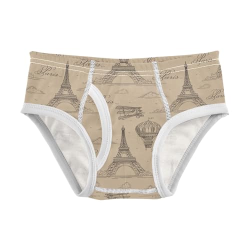 visesunny Boys Potty Training Underwear Vintage Eiffel Tower Hot Air Balloon Breathe Cotton Briefs Size 2T-8Y for Toddler