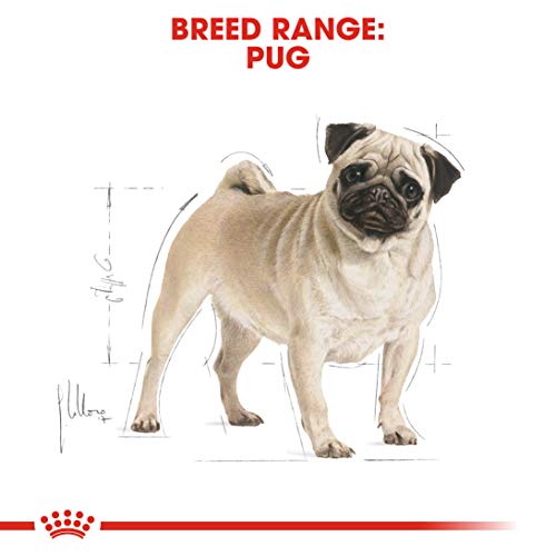 Image of Royal Canin Pug Adult Dry Dog Food 500 g