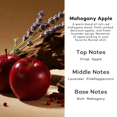 Image of HoogaLife Car Air Freshener Diffuser 2 Pack Hanging Air Freshener Diffuser - Mahogany Apple Fragrance Oil Air D iffuser for Car, 45+ Days Long Lasting Fragrance Made in USA (MA112)
