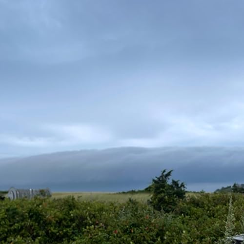 A taste of an Upisland get together