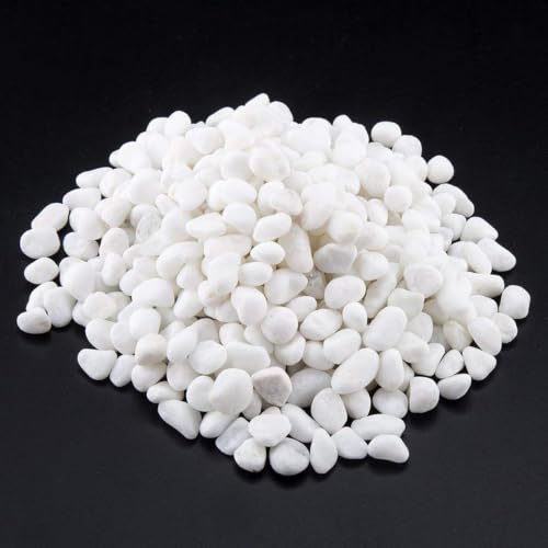 Image of 1 Lb /460g White Stones Decorative Pebble Rock Sand for Aquarium /Fish Turtle Tank /Vase Filler /Succulent Plants Decoration (Fill 1 Cup)