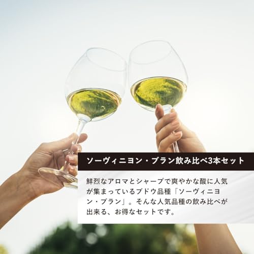 エノテカ ソーヴィニヨン・ブラン飲み比べ3本セット