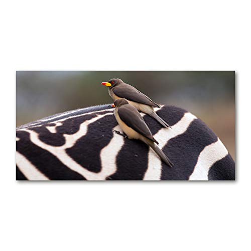 Fond de hotte verre de sécurité trempé 140x70cm résistant aux taches motifs oiseaux