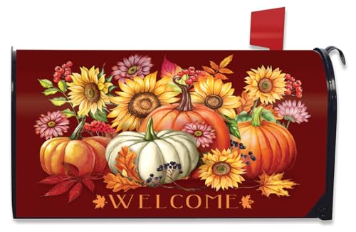 Briarwood Lane Fall Beauty Floral Large Magnetic Mailbox Cover Welcome Autumn **Oversized**