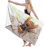 Asian-Giant-Hornet-High-Definition-Wallpaper-55393 Toallas d