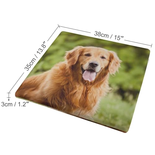 Cojín de perro Golden Retriever para sillas de comedor para disfrutar de comidas más cómodas 3