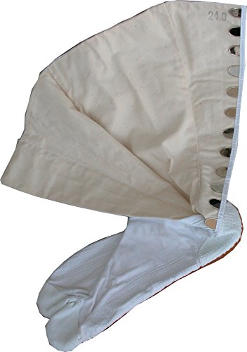 [˂⑫] y n 12Rn[(Dt)z ˂△G̒n s008-8001t (23.0)