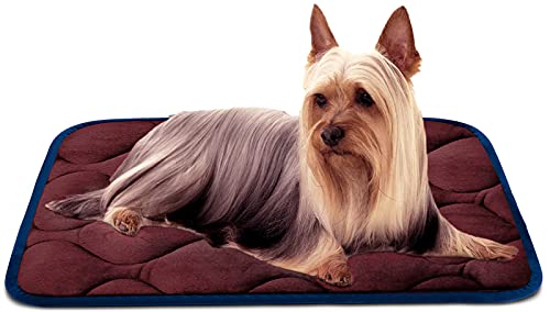 Washable Sleeping Dog Bed