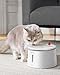 Homerunpet Cat Water Fountain Porcelain-Tray, Wireless Self-Cleaning Pump, Ultra Quiet 20dB Pet Water Dispenser for Cats and Dogs, Easy-to-Clean 2L/68oz with Smart LED and 4-Stage Filtration