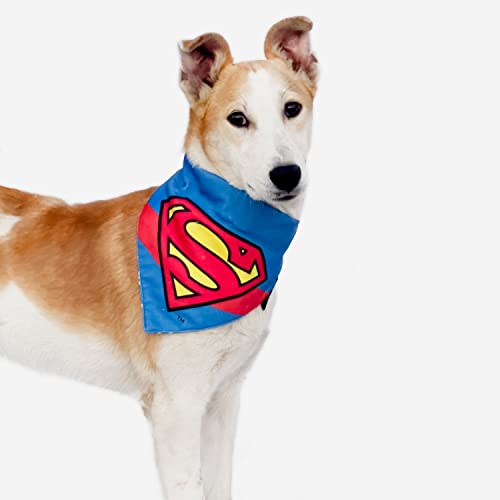 Image of TDIT X�DC Superman Reversible Dog Bandana with Adjustable Dog Collar (Size Small)