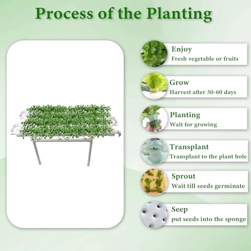 Kit di coltivazione idroponica, sistema a parete con 36 siti di piante, tubi in PVC-U per uso alimentare, pompa dell'acqua, timer, cestino e spugna per verdure a foglia