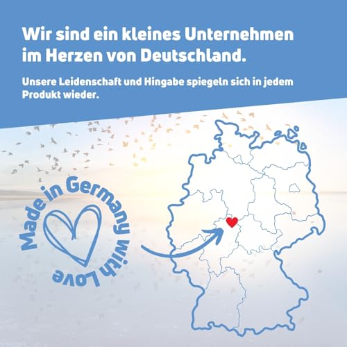 Frischkäse Schuhdeo Bundle - 2 Jahre Schluss mit antibakteriellem Schuhdeo Spray - Schutz vor Fußgeruch - Streuer und Nachfüllpack