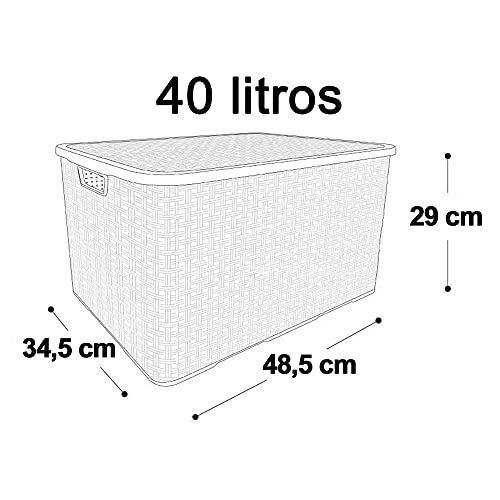 Caixa Organizadora Plástica Cesto Rattan 40 Litros Branca Com Tampa