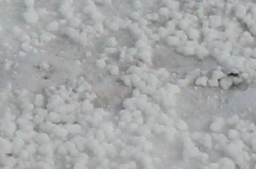 SEA-90 Organic Fertilizer for Hydroponics, Soil, Plant Food, 5 Pound Bag - Thumbnail 2