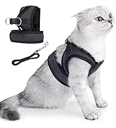 HEYWEAN Escape Proof Cat Kitten Harness with Leash Set for Walking Soft Mesh Cat Harness and Lead...