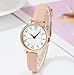 BESTKANG Women's Fashion Leather Strap Watch Easy - Read Dial Casual Quartz Wristwatch Waterproof Watch Women's Small Wrist Watch (Pink)