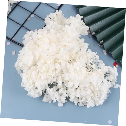 Pétalos de hortensia natural secados para decoración blanco miniatura 4