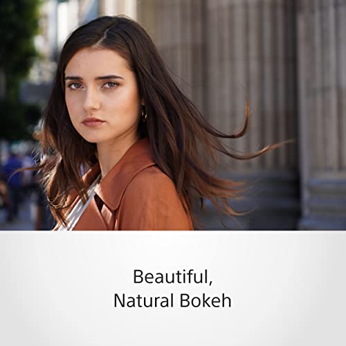 Sony E 16 55mm f2.8 G - vue 10