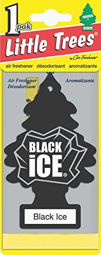 LITTLE TREES Car Air Freshener | Hanging Paper Tree for Home or Car | Black Ice | 48 Pack