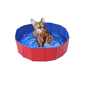 Opvouwbaar hondenzwembad, hond zwembad milieuvriendelijk PVC antislip kinderbadje met afvoerventiel zomer zwembad zwembad voor hond kat (50 x 8 cm (19,68 x 3,15 inch) ))