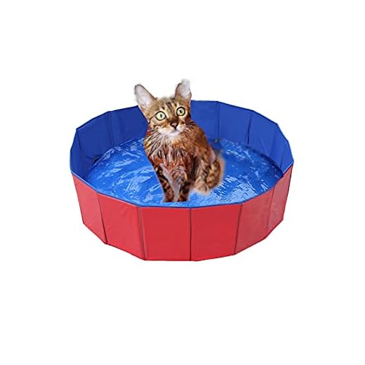 Piscina Plegable Para Perros, Piscina Para Perros, Piscina Ecológica De Pvc Antideslizante Con Válvula De Drenaje, Piscina De Verano Para Perros Y Gatos (50 X 8 Cm (19,68 X 3,15 Pulgadas)