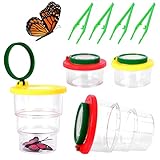 【Ámbito de aplicación】Es ideal para la observación, experimentación y exploración de insectos o animales pequeños en interiores y exteriores. Este dispositivo de exploración puede mejorar las habilidades de observación de los niños y ampliar el conocimiento. Ideal para actividades familiares. Una gran actividad para que los niños estén entretenidos, entretenidos y aprenden fuera del aula