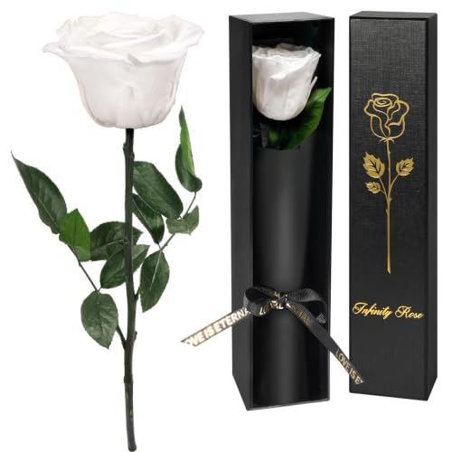 Yamonic Preserved Flowers Rose Gifts for Delivery Prime, Mothers Day Rose Flowers Gifts for Mom, Single Real Flower Birthday Gifts for Her, Women, Grandma, Wife,Girlfriend Gifts for Anniversary(White)
