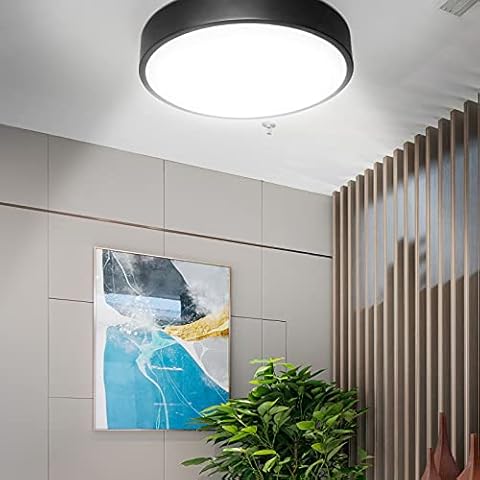 ZONJIE Ceiling Light - LED Ceiling Light with Motion Sensor Radar Motion Detective Ceiling Lamp Flat Round Metal Ceiling Light 120 Degree Detective for Hallway Corridor Garage Stairs Cover