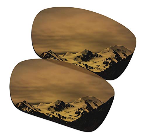 Verres de rechange Oakley Scalpel OO9095 solaire polarisé or