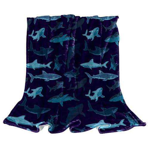 Couverture polaire requin idée cadeau originale pour lit et salon
