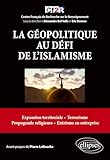 La géopolitique au défi de l'islamisme