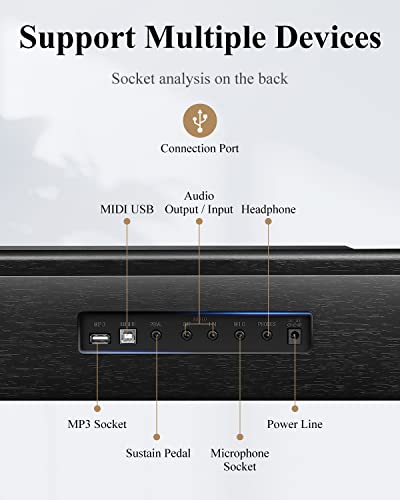 Eastar EK-10S Clavier Piano, 61 touches de taille standard Upright Clavier de Piano numérique pour les débutants avec pédale de sustain et support de livre de musique, cadeau essentiel - Les Beatles, Paul McCartney, John Lennon, RIngo Starr, George Harrison Eastar EK-10S Clavier Piano, 61 touches de taille standard Upright Clavier de Piano numérique pour les débutants avec pédale de sustain et support de livre de musique, cadeau essentiel – Image 6