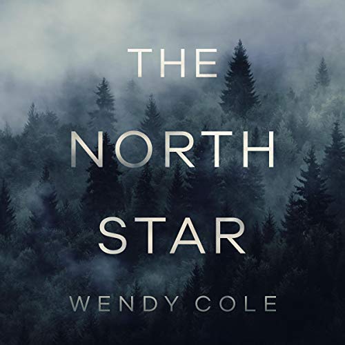 Cover art for The North Star