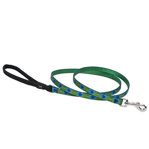 Laisse de 1,27 cm plumes de queue anti traction pour chien difficile - 2