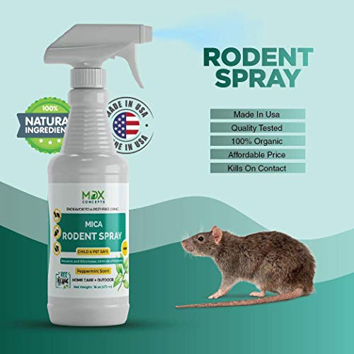 mdxconcepts Mice Repellent Spray - Peppermint Oil - Humane Mouse Trap Substitute - Made in USA - 16 oz Organic Spray - Guaranteed Effective - Works for All Types of Mice & Rats