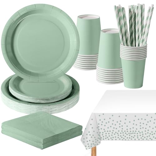 PYAILI Anniversaire Vaisselle de fete 121 Pièces Vert Sauge Party Assiettes en Papier Set Assiettes de Fête Papier Tasses Serviettesr, pour Barbecue les Fêtes les Pique-niques -24 Invités