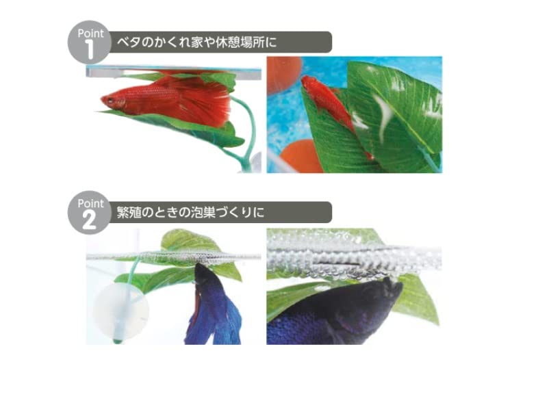 Amazon | ベタのおやすみリーフ×2個 | 水作株式会社 | 人工水草 通販