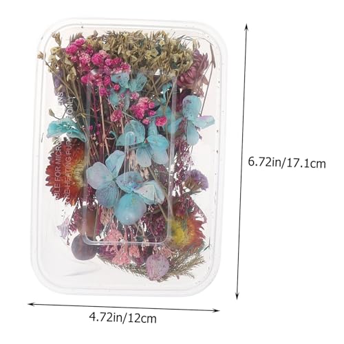 2 cajas de flores secas surtidas para manualidades DIY miniatura 2