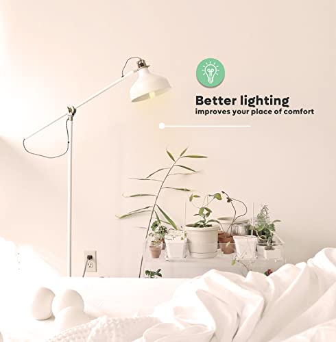 Sterl Lighting - 6 Pack, T10 Tubular Incandescent Light Bulbs 40 Watt, 120 Volts, 250Lm, 2700K, Natural Light, White Clear, E26 Standard Screw Base, Cabinet Light Bulb, Display Light #TOP3