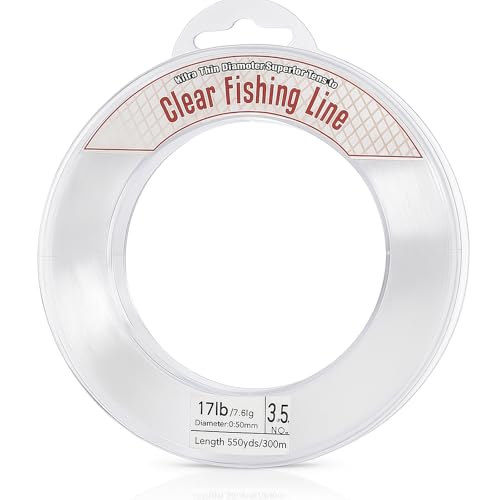 Fishing Line for Crafts,Fishing Wire for Hanging,Clear Fishing Line 1640 Ft,Clear String for Bracelets,Necklaces,Balloon,Bracelet Making